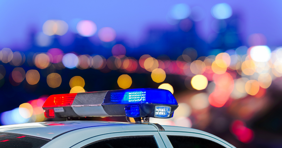 Police car lights in front of city landscape